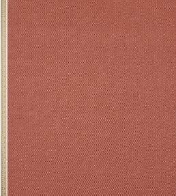 Tippet in Nash Fabric by Liberty Galah Pink