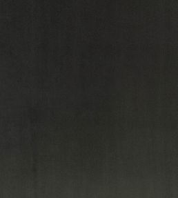 Todd Fabric by Zinc Obsidian