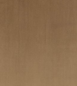 Todd Fabric by Zinc Truffle