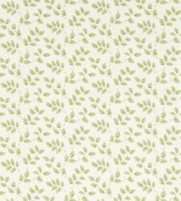 Tomato Leaf Wallpaper by Sanderson Leaf Green