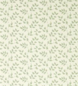 Tomato Leaf Wallpaper by Sanderson Willow