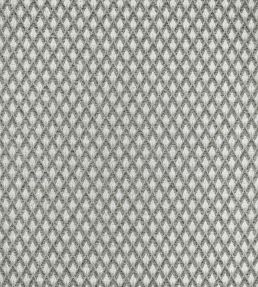 Torre Fabric by Clarke & Clarke Dove/Noir