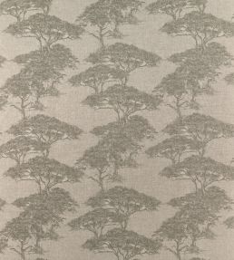 Torrey Pines Fabric by Thibaut Beige and Black