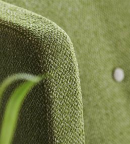 Torrington Fabric by Designers Guild Hibiscus