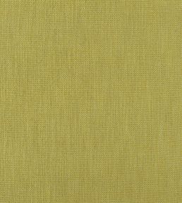 Tortona Fabric by Designers Guild Alchemilla