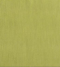 Tortona Fabric by Designers Guild Leaf