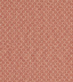 Trelica Fabric by Clarke & Clarke Spice