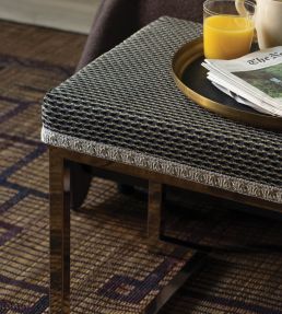 Trianon Ombre Border Trimming by Samuel & Sons Sterling
