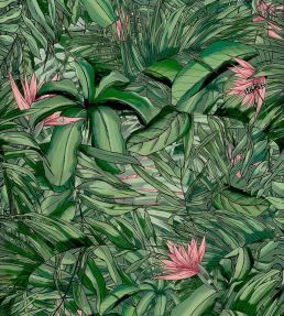 Tropical Forest Wallpaper by Brand McKenzie Dark Green / Pink