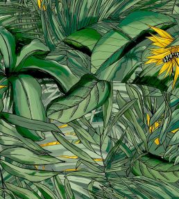 Tropical Forest Wallpaper by Brand McKenzie Dark Green / Yellow