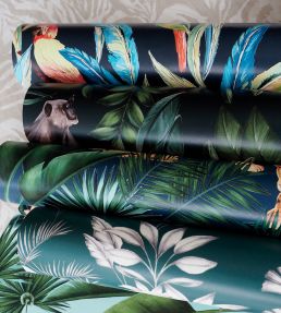 Tropical Parrot Wallpaper by Ohpopsi Wilderness White