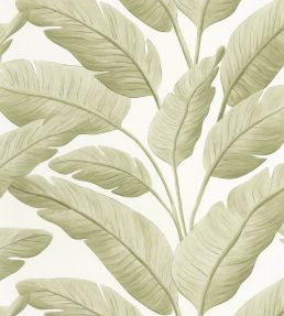 Tropicalia Wallpaper by Caselio Amande