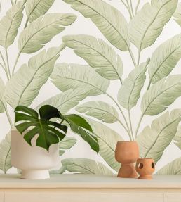 Tropicalia Wallpaper by Caselio Amande