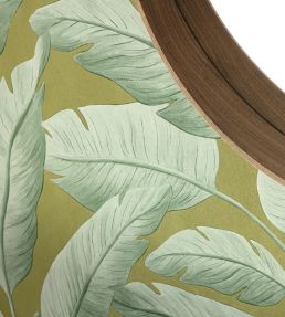 Tropicalia Wallpaper by Caselio Kaki