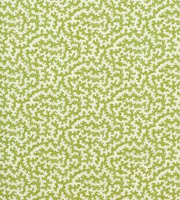 Truffle Outdoor Fabric by Sanderson Olive