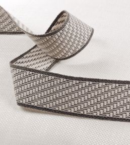 Tubai Braid Trimming by Romo Slate