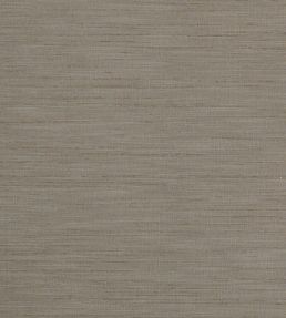 Tussah Fabric by Clarke & Clarke Mocha