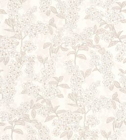 Ume Wallpaper by Casadeco Blanc Cotton