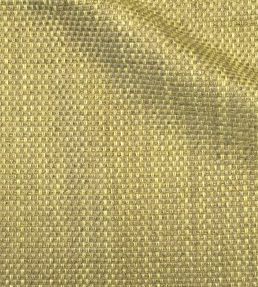 Umi Fabric by Ian Sanderson Zucchini