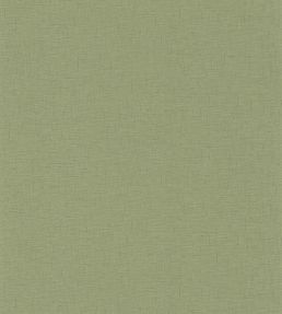 Uni Gaze Wallpaper by Caselio Vert Olive