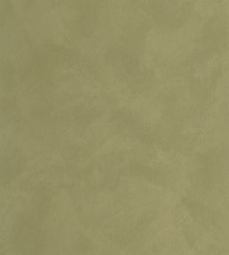 Uni La Chaux Wallpaper by Caselio Vert Kaki