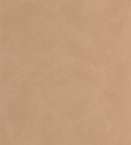 Uni La Chaux Wallpaper by Caselio Gres Des Vosges