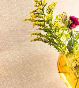 Uni Mat Wallpaper by Caselio Beige Pralin