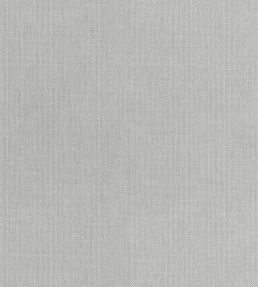 Uni Mat Wallpaper by Caselio Gris Alpaga