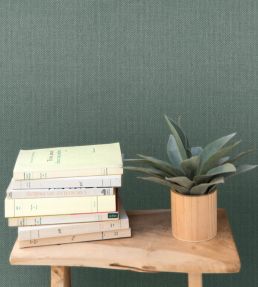 Uni Mat Wallpaper by Caselio Vert Eucalyptus