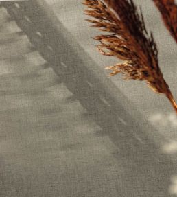 Uni Mat II Wallpaper by Caselio Vert Malachite Chine