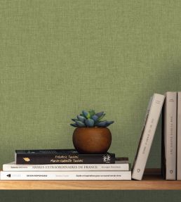 Uni Mat II Wallpaper by Caselio Vert Pistache