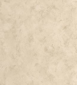 Uni Metallise Vinyl Wallpaper by Caselio Beige Dore