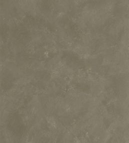 Uni Metallise Vinyl Wallpaper by Caselio Kaki Dore