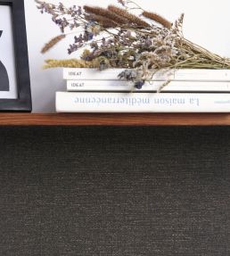 Uni Metallise Wallpaper by Caselio Noir Dore