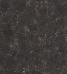Uni Metallise Vinyl Wallpaper by Caselio Noir Dore