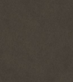 Vaquero Fabric by Warwick Aniline