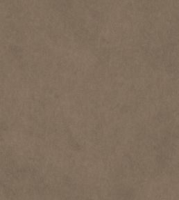 Vaquero Fabric by Warwick Fawn