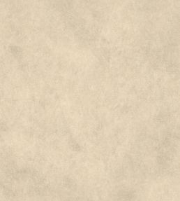 Vaquero Fabric by Warwick Oryx