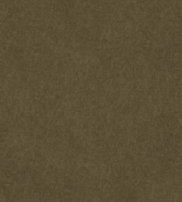 Vaquero Fabric by Warwick Racing