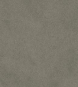 Vaquero Fabric by Warwick Seal