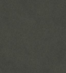 Vaquero Fabric by Warwick Slate