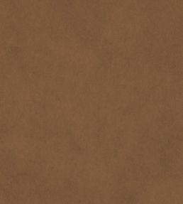 Vaquero Fabric by Warwick Tan