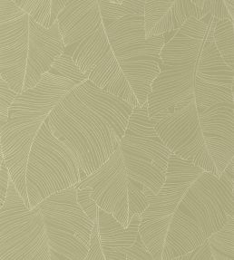 Vegetalia Wallpaper by Caselio Kaki
