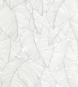 Vegetalia Wallpaper by Caselio Noir et blanc
