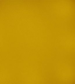Velluto Stretto Fabric by Designers Guild Alchemilla