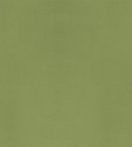 Velluto Fabric by Designers Guild Apple