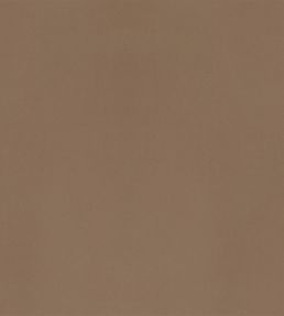 Velluto Fabric by Designers Guild Caramel