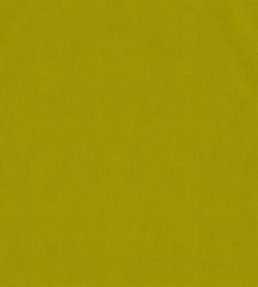 Velluto Stretto Fabric by Designers Guild Leaf