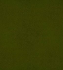 Velluto Stretto Fabric by Designers Guild Moss