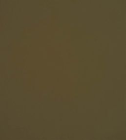 Velluto Fabric by Designers Guild Olive